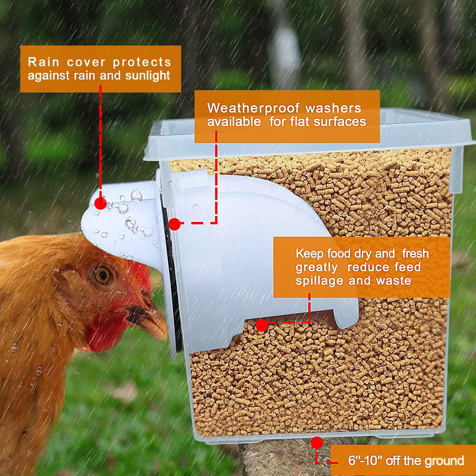 4-Port Chicken Feeder | PVC Gravity Fed Poultry Feeder