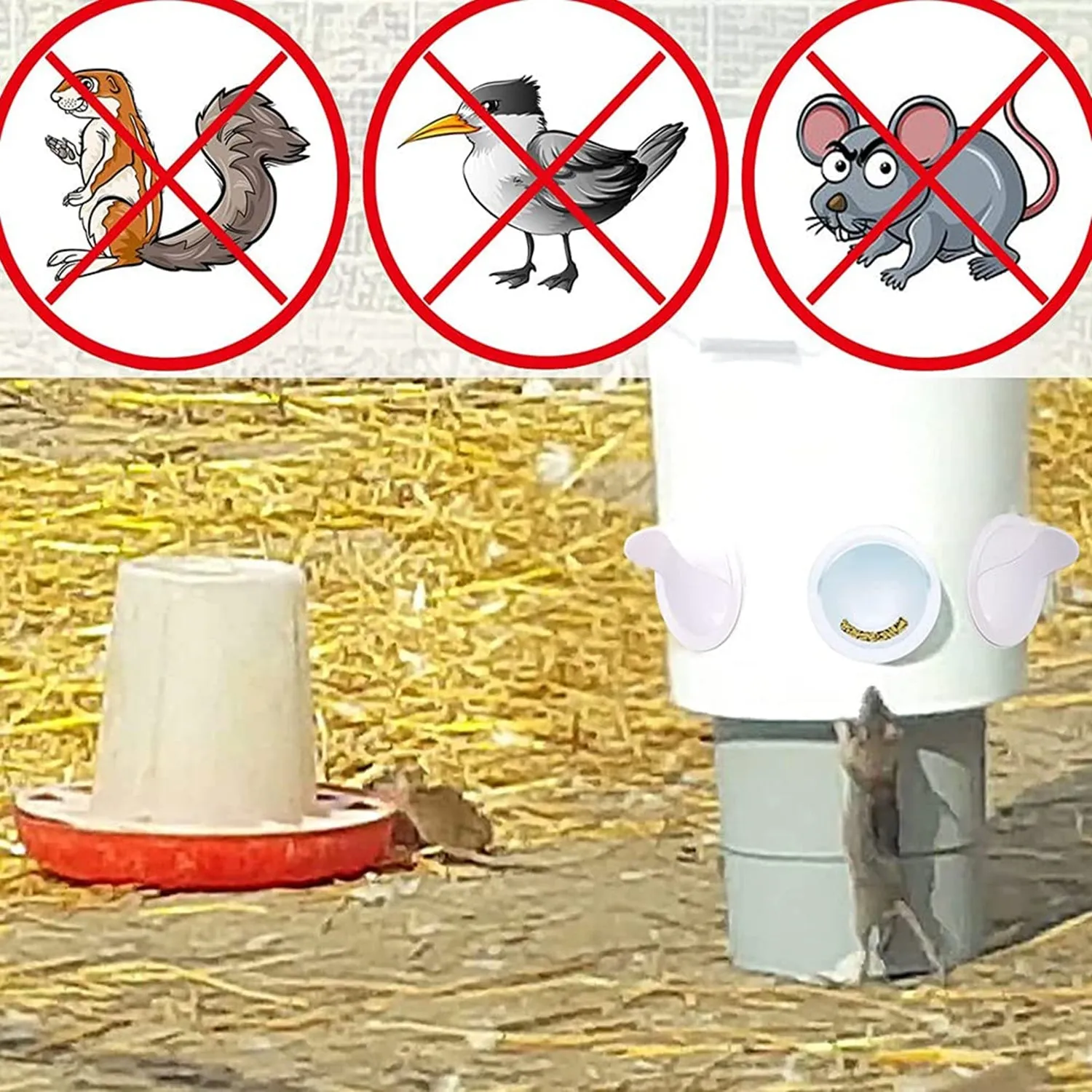 4-Port Chicken Feeder | PVC Gravity Fed Poultry Feeder