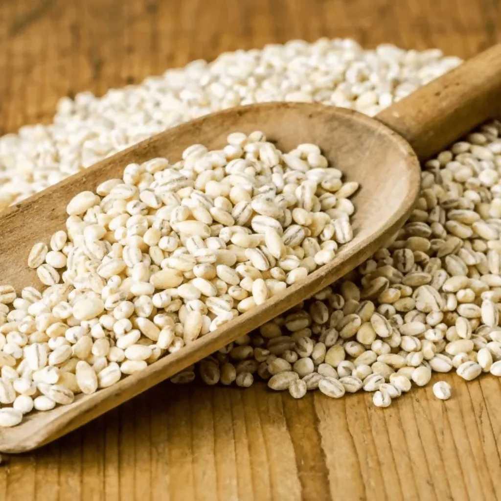 Barley
