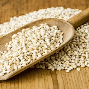 Barley