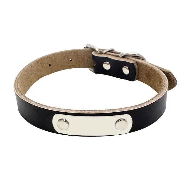 Durable Personalized Genuine Leather Dog's Collar
