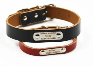 Durable Personalized Genuine Leather Dog's Collar
