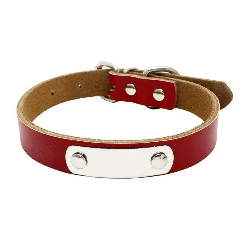 Durable Personalized Genuine Leather Dog's Collar