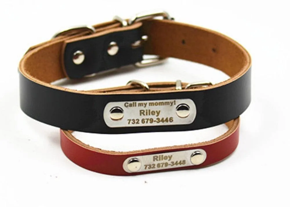 Durable Personalized Genuine Leather Dog's Collar