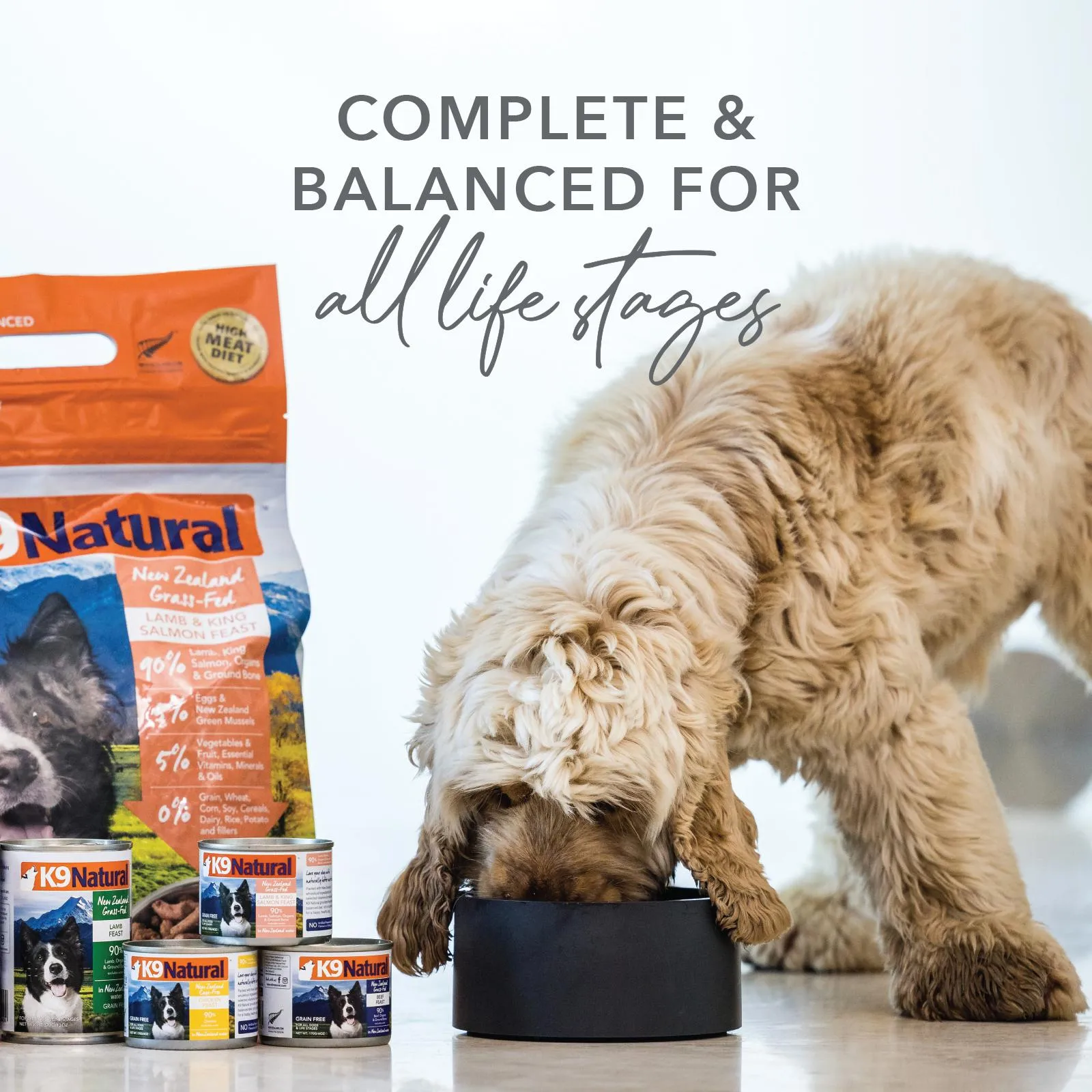 K9 Natural Hoki and Beef Feast Wet Dog Food 170g^^^